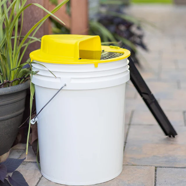 Bucket Trap Cover with Automatic Reset and Ladder Ramps for Rodent Control