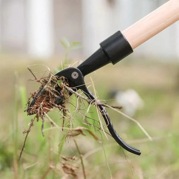 Upright Weed Puller with Four-Pronged Claw and Root Extraction, Detachable Head
