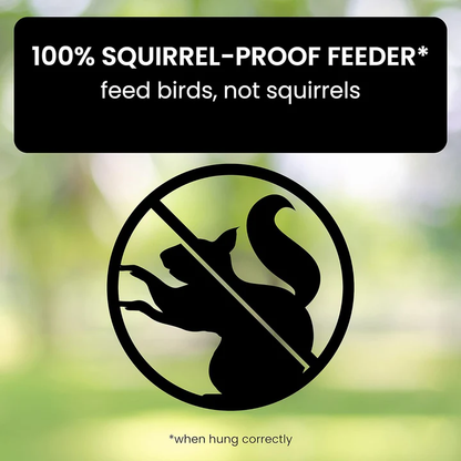 Weight-Activated Spinning Perch Bird Feeder with Metal Construction and 5lb Capacity
