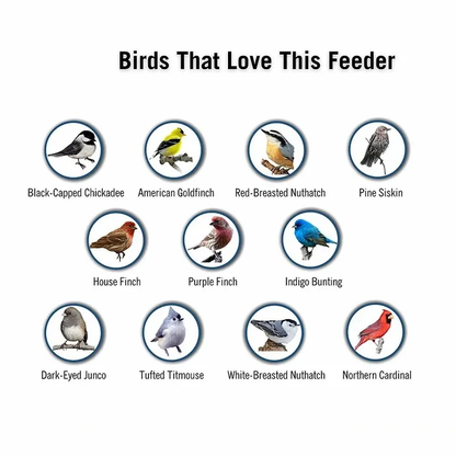 Weight-Activated Spinning Perch Bird Feeder with Metal Construction and 5lb Capacity