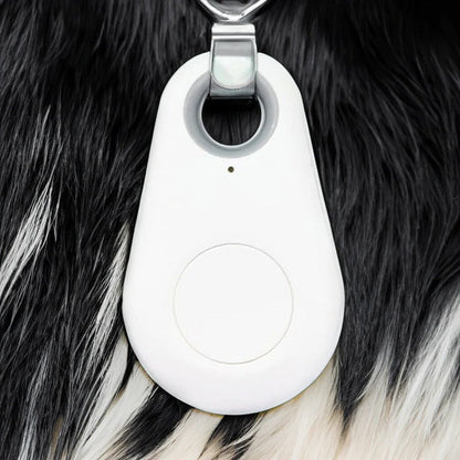Wireless Pet Tracker with Real Time Location and Beeping Alert, Waterproof 33ft Range