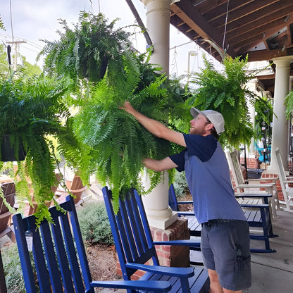 Outdoor Artificial Boston Fern with 18 Branches and Weather Resistant, 27.5in Wide